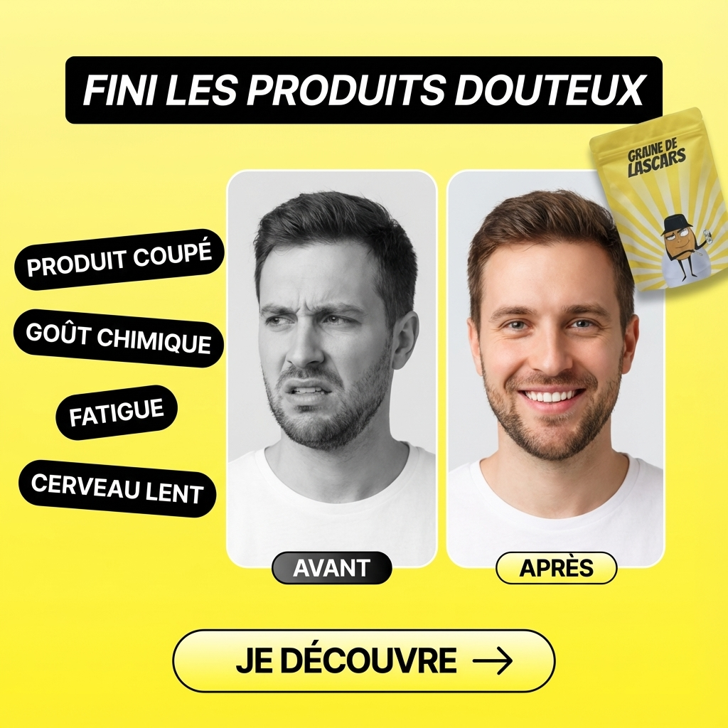 Créa statique — avant / après Graine de Lascars